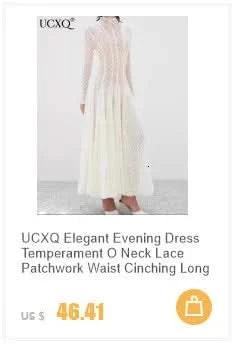 UCXQ Elegant Long Dress Fairy Style Stand Up Collar Lantern Sleeves Splicing Waist Fashion Dresses Women 2025 Spring Autumn 1351 - M & M Global