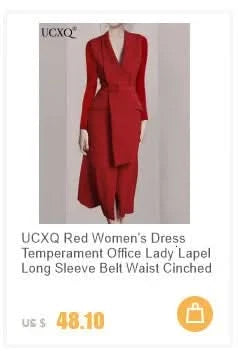 UCXQ Elegant Long Dress Fairy Style Stand Up Collar Lantern Sleeves Splicing Waist Fashion Dresses Women 2025 Spring Autumn 1351 - M & M Global