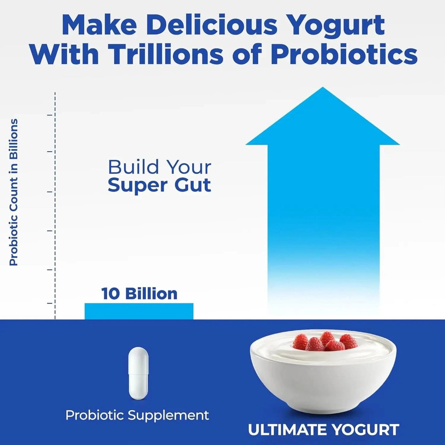 Probiotic Yogurt Maker with Adjustable Temperature & Time Control - Make Trillions of Live Probiotics & Get Better Gut Health - - M & M Global