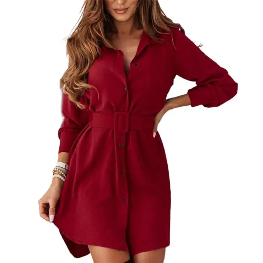 Dresses For Women 2024 Elegant Large Size Short Dress Long Sleeve Lapel Slim Casual Shirt Dress Clothing Female Ropa De Mujer - M & M Global