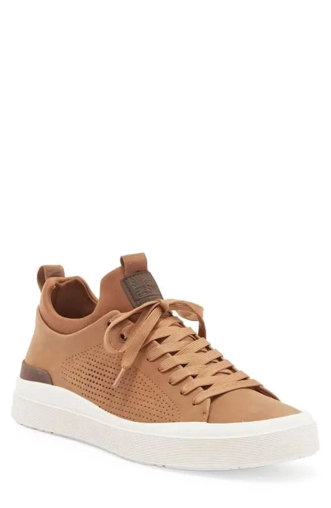 Steve Madden | Pyper Sneaker - M & M Global