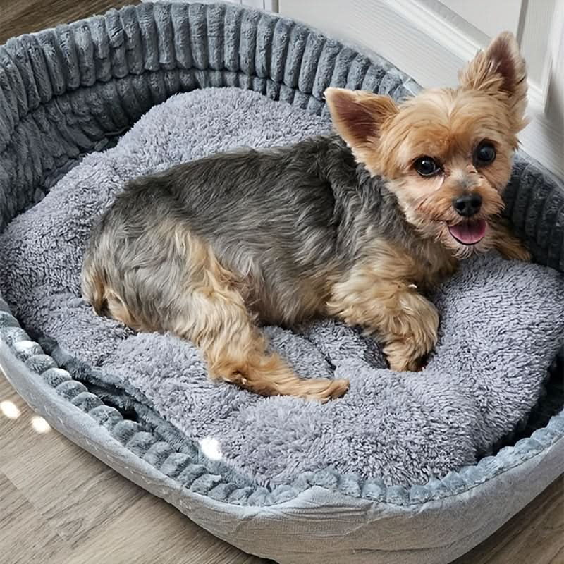 Pawsitively™ Cozy Pet Haven - M & M Global