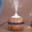 Mini USB Humidifier with Aromatherapy Diffuser  3-in-1 Desktop Humidifier, One-Touch Operation & Key Switch for Home/Office - M & M Global