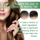 Eelhoe Rosemary Hair Growth Spray Nourish Scalp Treatment Anti Hair Loss Strengthen Repair Split Ends Frizz Smooth Hair Spray - M & M Global