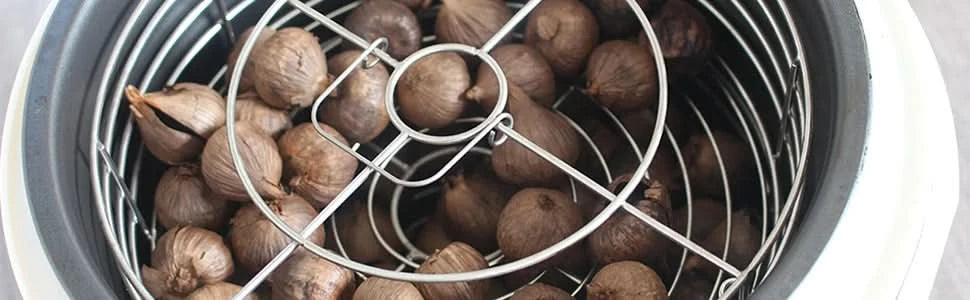 5L Black Garlic Fermenter Full Automatic Intelligent Control Garlics Maker Multi Clove Garlic Cooker FCC UL Approved - M & M Global