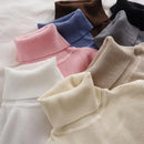 Korean High Collar Knitted Long Sleeve Base Shirt Pure Color Slimming Versatile Underwear Elegant Inner Long Top Women's Fashion