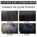 Hair Darkening Shampoo Repair Gray White Natural Color Dye Anti Scalp Itchy Care Dandruff Removal Polygonum Black Hair Shampoo - M & M Global