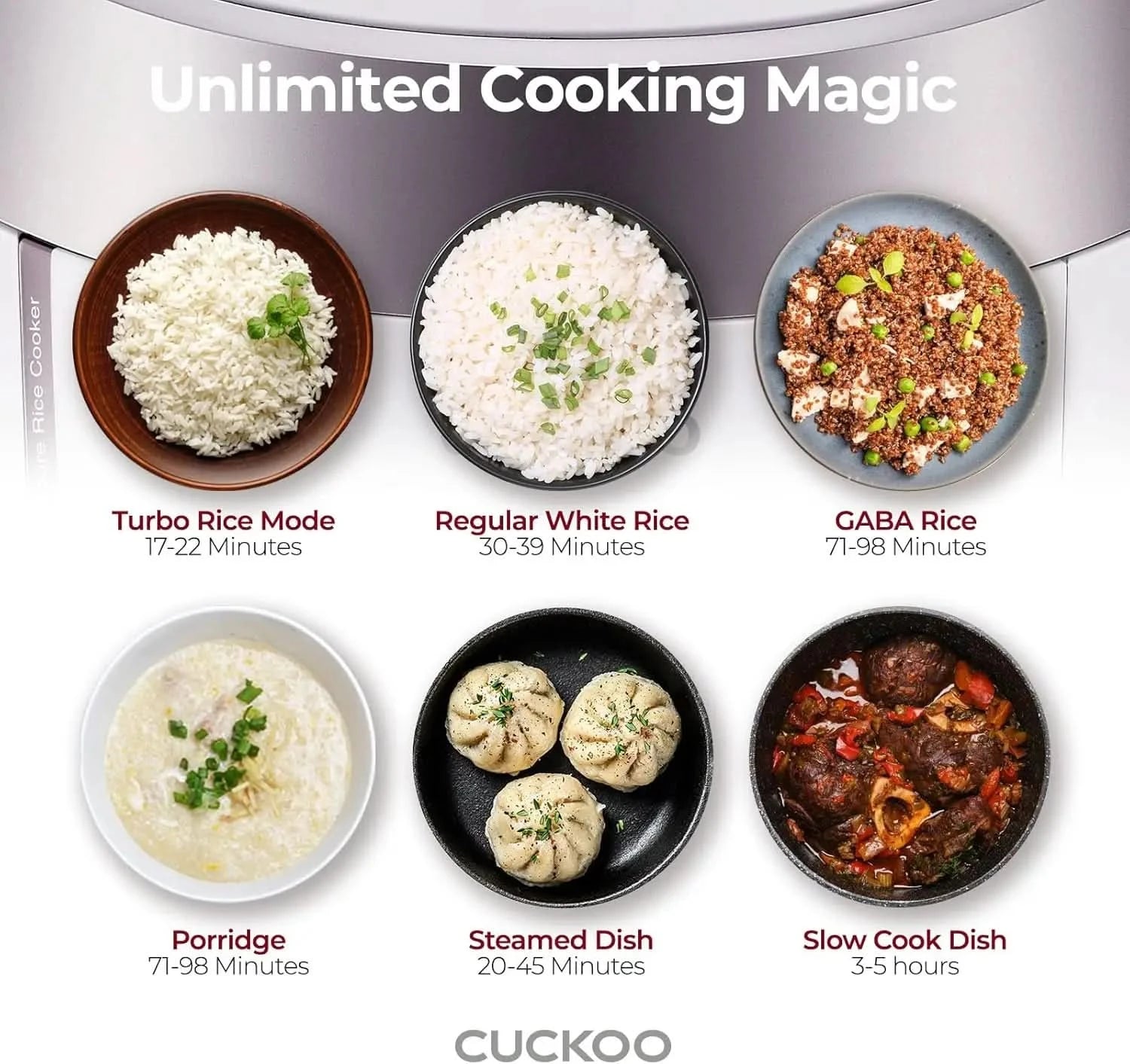 Heating Pressure Cooker & Warmer - 12 built-in programs, Glutinous (white), Mixed, Brown, GABA rice, and more, 10 cups - M & M Global
