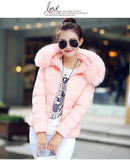 2025 Artificial raccoon fur collar winter jacket women Winter And Autumn Wear High Quality Parkas Outwear Women Coats