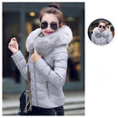 2025 Artificial raccoon fur collar winter jacket women Winter And Autumn Wear High Quality Parkas Outwear Women Coats