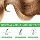 Rosemary Hair Care Set Contains Rosemary Hair Roller Hair Spray Essential Oil Nourish Hair Soft Fluffy Strong Moisturizing Root - M & M Global