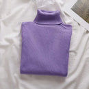 Korean High Collar Knitted Long Sleeve Base Shirt Pure Color Slimming Versatile Underwear Elegant Inner Long Top Women's Fashion