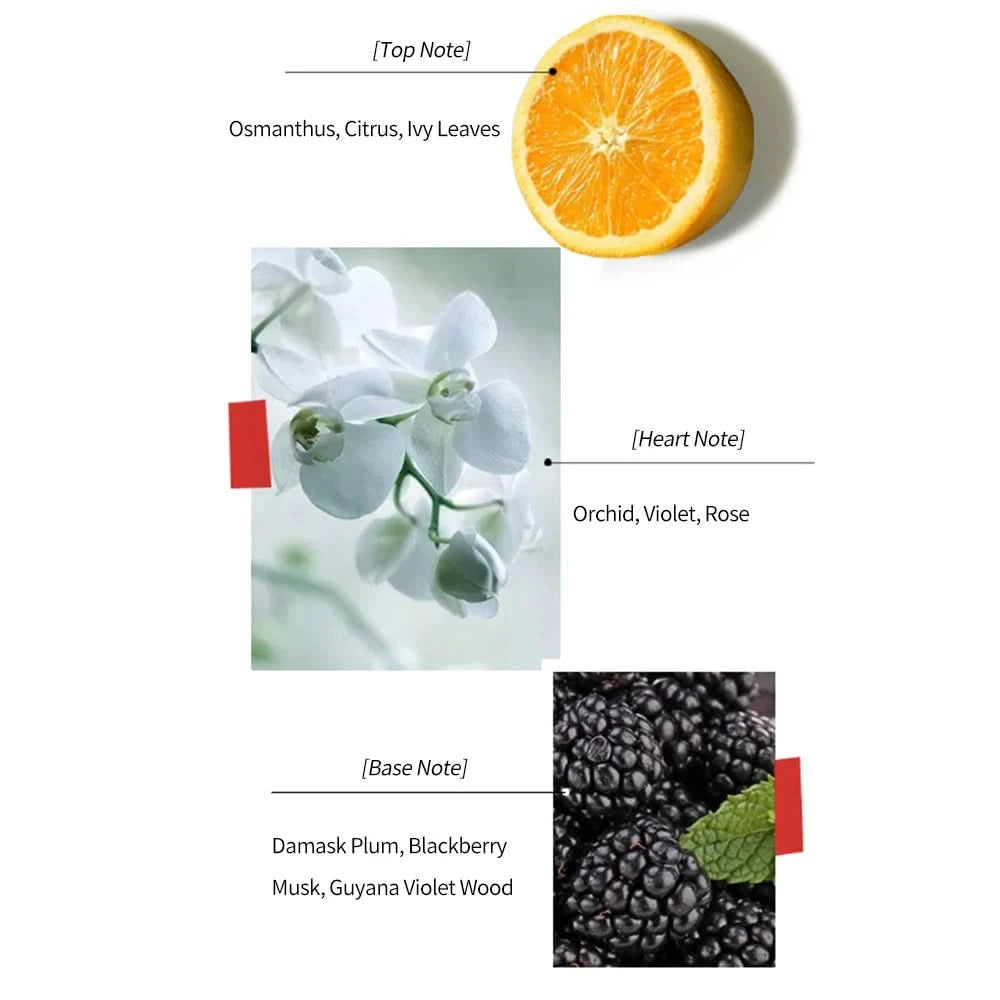 Heel Styling Perfume Eau De Parfum Spray Natural Fragrance Parfum Lasting And Charming Personal Perfume For Women And Girls 30ML