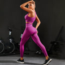 2 Pieces Women's Tracksuit Seamless Yoga Set Workout Sportswear Gym High Waist Leggings Fitness Sports Suits