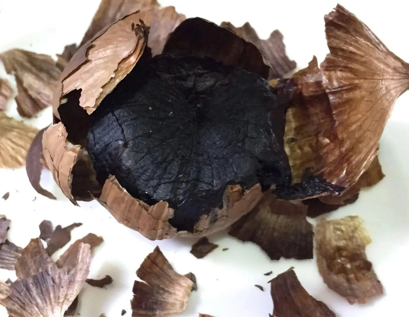 5L Black Garlic Fermenter Full Automatic Intelligent Control Garlics Maker Multi Clove Garlic Cooker FCC UL Approved - M & M Global