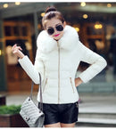 2025 Artificial raccoon fur collar winter jacket women Winter And Autumn Wear High Quality Parkas Outwear Women Coats