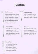 New Design Multifunction LCD Screen 4 in 1 Electric Facial Skin Care Wand Beauty Device - M & M Global