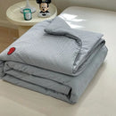 INS Style Plaid Summer Quilt Light Comforter Spring Summer Comforter Suitable for Bedroom Apartment Student Dormitory - M & M Global