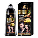 Black Hair Color Shampoo for Gray Hair Instant Hair Dye Shampoo Hair Coloring in Minutes Natural and Long lasting color Hair Dye