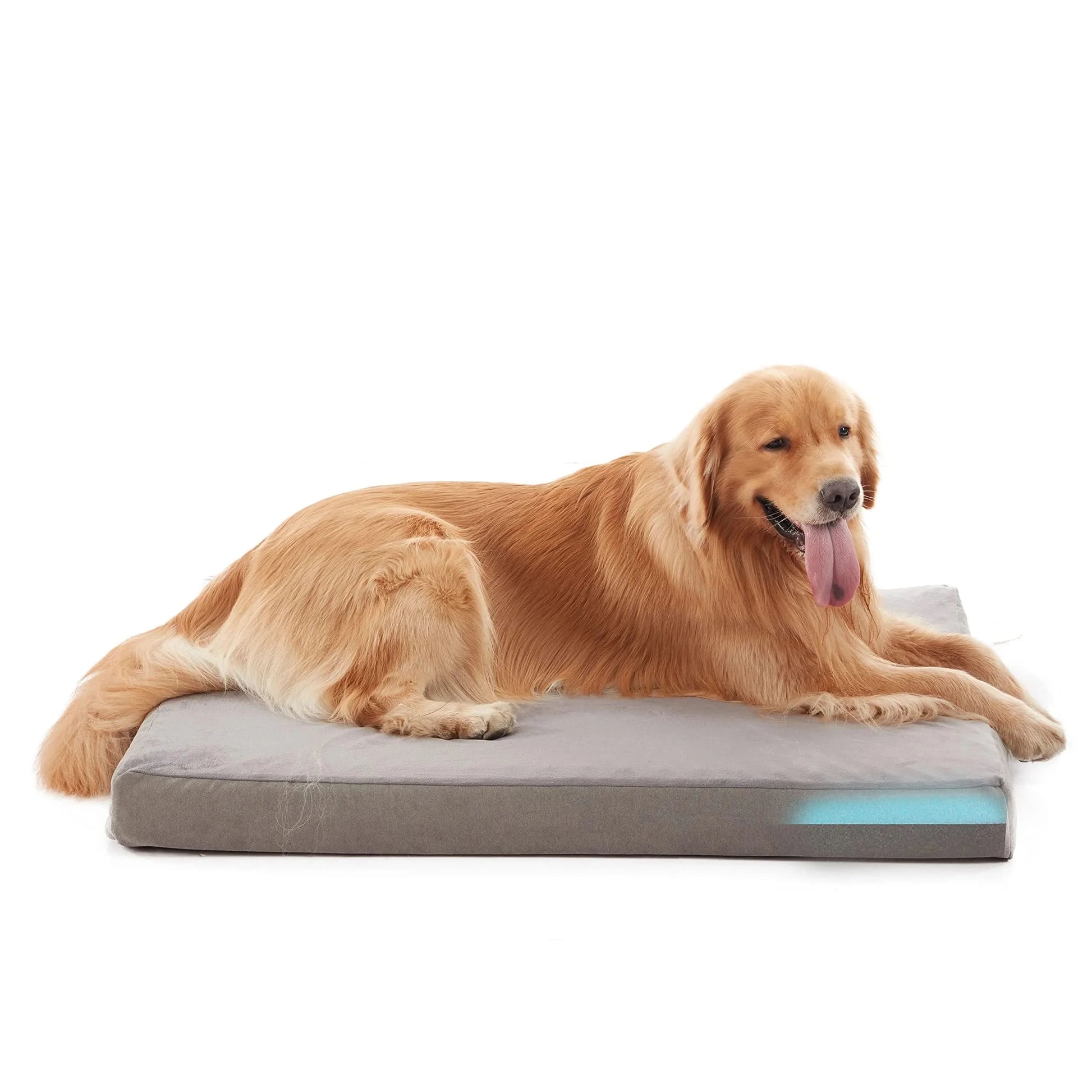 Orthopedic Dog Bed Waterproof Deluxe Plush Dog Beds with Removable Washable Cover Anti-Slip Bottom Pet Sleeping Mattress - M & M Global