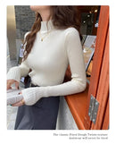 Chic Autumn Winter 2025 Pullovers Women Long Sleeve Casual Turtleneck Warm Basic Sweater Knit Jumpers Solid Color Slim Tops