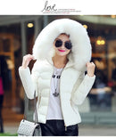 2025 Artificial raccoon fur collar winter jacket women Winter And Autumn Wear High Quality Parkas Outwear Women Coats