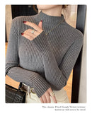 Chic Autumn Winter 2025 Pullovers Women Long Sleeve Casual Turtleneck Warm Basic Sweater Knit Jumpers Solid Color Slim Tops