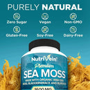 Vegetarian Organic Sea Moss Supports Immune System, Joint Health Intestinal Cleansing Detoxification & Cleansing Skin Supplement - M & M Global