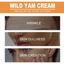 Anti Aging Face Cream Wrinkles Firming Fade Pigment Freckle Lighten Melanin Nourishing Oil Control Age Spots Brightening Product - M & M Global
