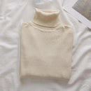 Korean High Collar Knitted Long Sleeve Base Shirt Pure Color Slimming Versatile Underwear Elegant Inner Long Top Women's Fashion