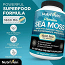 Vegetarian Organic Sea Moss Supports Immune System, Joint Health Intestinal Cleansing Detoxification & Cleansing Skin Supplement - M & M Global
