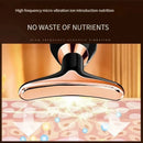 Gold Electric Facial Beauty Instrument Lifting And Firming Facial Eye Massager Household Vibration Ultrasonic Massager - M & M Global