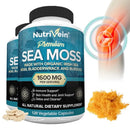 Vegetarian Organic Sea Moss Supports Immune System, Joint Health Intestinal Cleansing Detoxification & Cleansing Skin Supplement - M & M Global