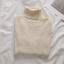 Korean High Collar Knitted Long Sleeve Base Shirt Pure Color Slimming Versatile Underwear Elegant Inner Long Top Women's Fashion
