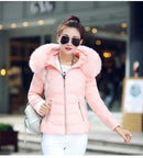 2025 Artificial raccoon fur collar winter jacket women Winter And Autumn Wear High Quality Parkas Outwear Women Coats