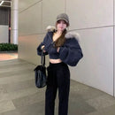 New American Style Hooded Sweatshirt Jacket Zipper Spring Autumn Short Design Top Short Outerwear Fur Collar Commuter Style