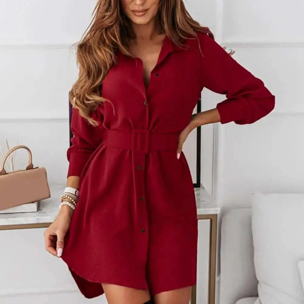 Dresses For Women 2024 Elegant Large Size Short Dress Long Sleeve Lapel Slim Casual Shirt Dress Clothing Female Ropa De Mujer - M & M Global