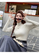 Chic Autumn Winter 2025 Pullovers Women Long Sleeve Casual Turtleneck Warm Basic Sweater Knit Jumpers Solid Color Slim Tops