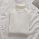 Korean High Collar Knitted Long Sleeve Base Shirt Pure Color Slimming Versatile Underwear Elegant Inner Long Top Women's Fashion