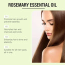 Hair Care Oils Keep Smoothing Repair Damaged Deeply Nourishing Growth Prevent Loss Straightening Dry Natural Hair Essential Oil - M & M Global