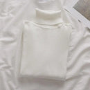 Korean High Collar Knitted Long Sleeve Base Shirt Pure Color Slimming Versatile Underwear Elegant Inner Long Top Women's Fashion