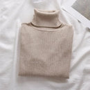 Korean High Collar Knitted Long Sleeve Base Shirt Pure Color Slimming Versatile Underwear Elegant Inner Long Top Women's Fashion
