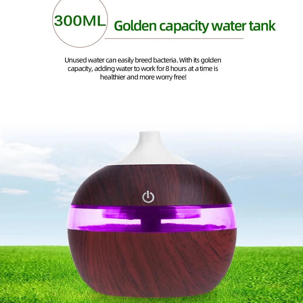 Mini USB Humidifier with Aromatherapy Diffuser  3-in-1 Desktop Humidifier, One-Touch Operation & Key Switch for Home/Office - M & M Global
